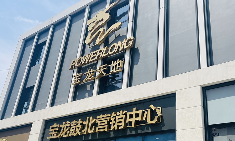 鼓北宝龙天地实景图