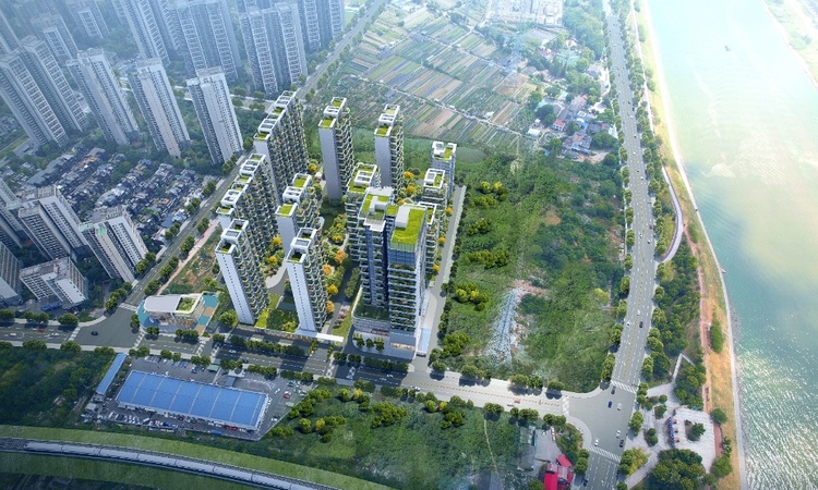 城投揽江院子效果图