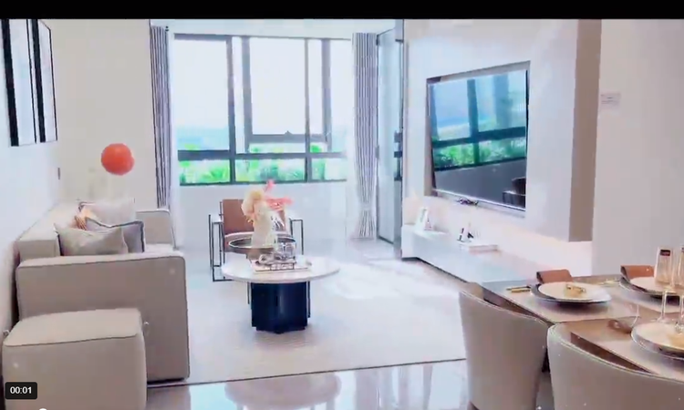 城建琥珀春树里样板间