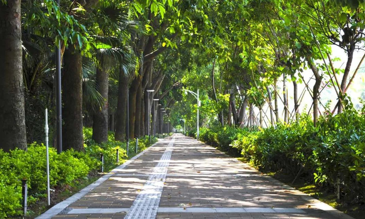 承翰湾尚国际骏玺周边配套图