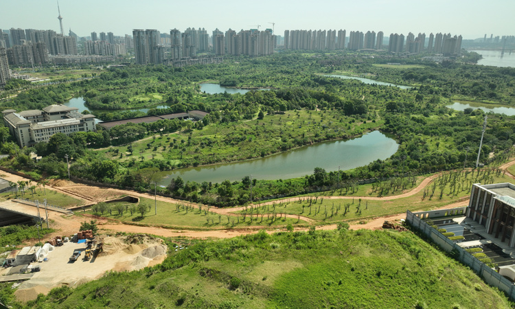 葛宁悦东方周边配套图