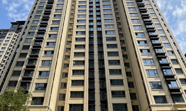 橄榄绿洲施工进度图