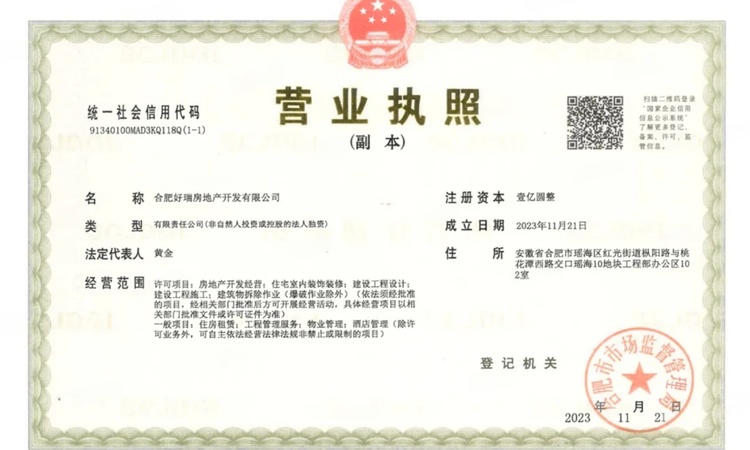 龙湖亚伦璟云上府楼盘证照