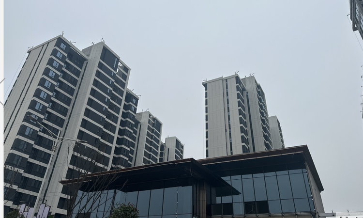 卓越·朗宋实景图
