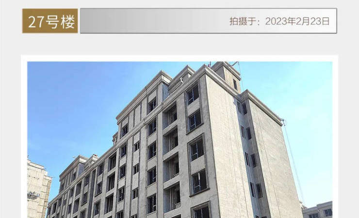 水岸·晨阳小镇施工进度图