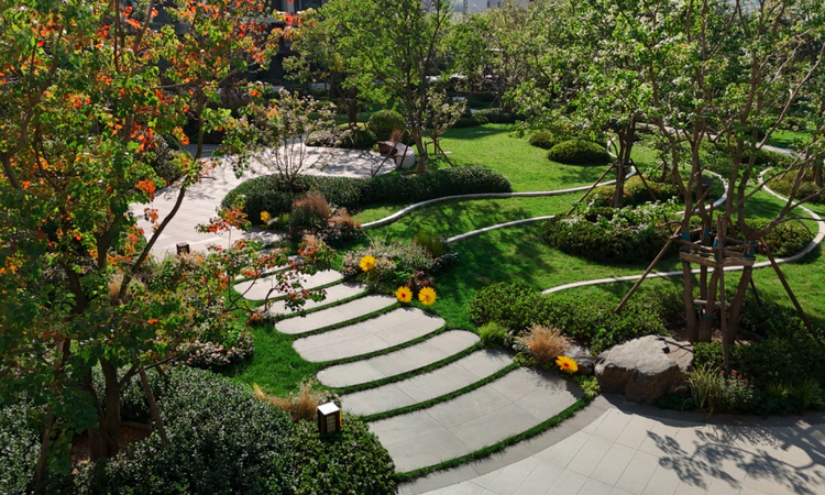 海信星海湾实景图