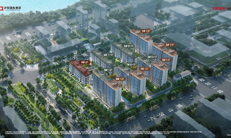 万科星映汀湖效果图