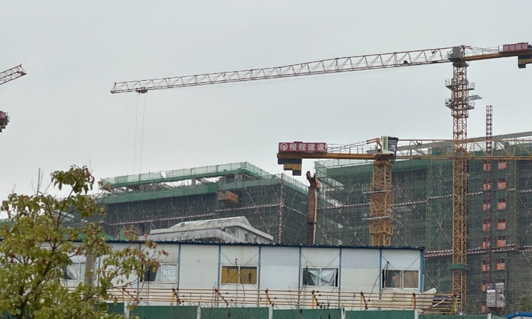 山墅一生施工进度图
