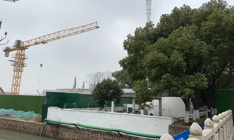 狮山金茂府实景图