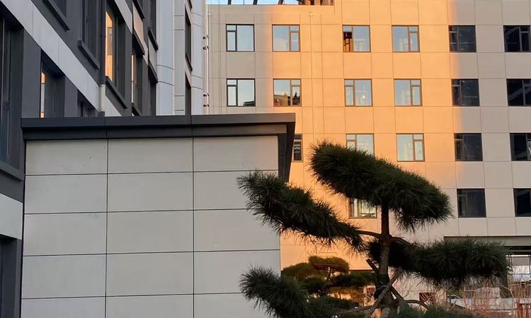 绿城·悦园实景图