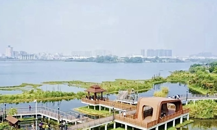 中粮悦章·凤凰里周边配套图