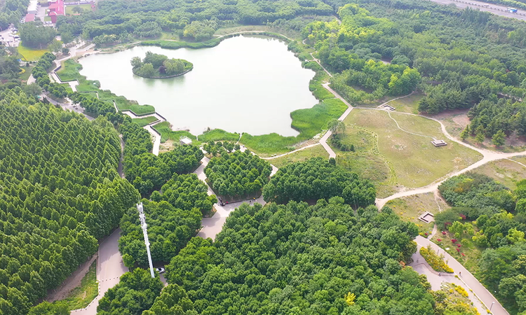 淄博国投·御澜庭周边配套图
