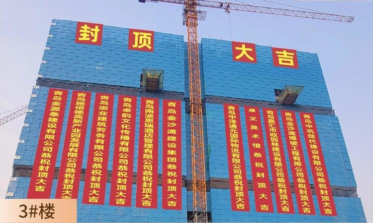 曦东儒居施工进度图