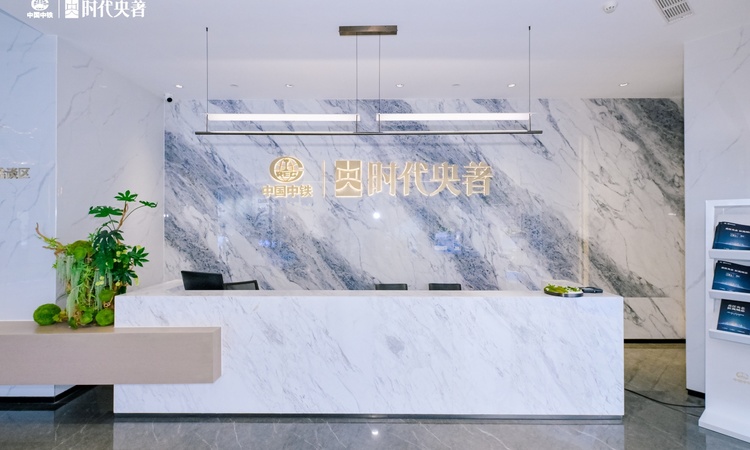 中铁·时代央著实景图
