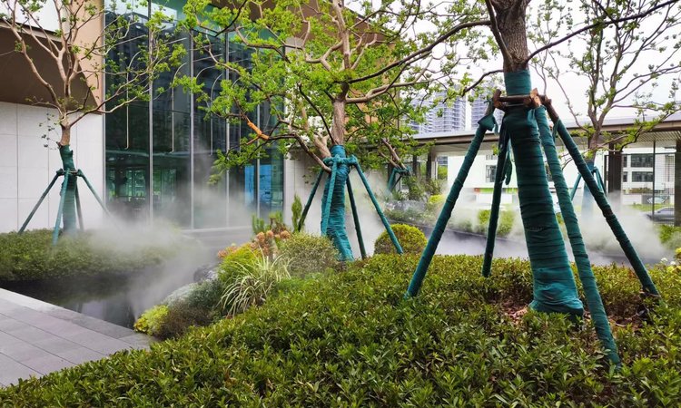 近湖源筑实景图