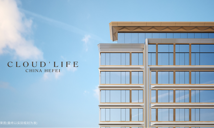 城轨庐月汀雲楼层平面图