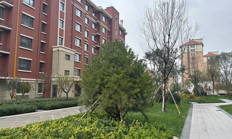 光能·齐韵华庭实景图