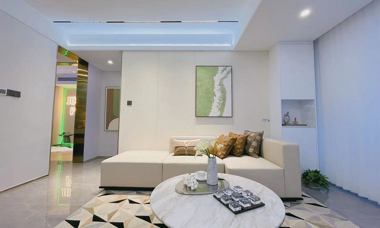 中南锦望名邸样板间