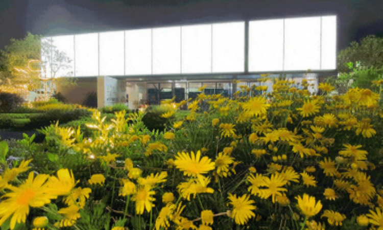 碧桂园世纪中心样板间