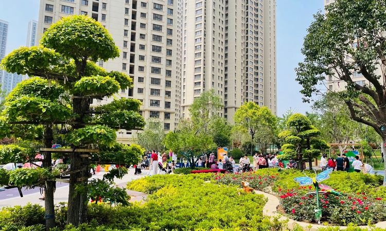 华新·新干线实景图
