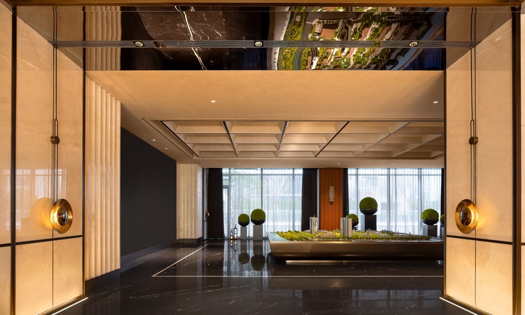 白桦林天成实景图