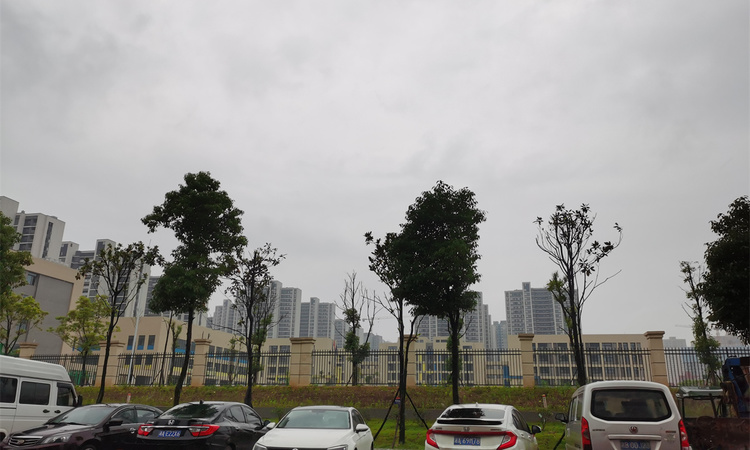 保利天汇·汇公馆施工进度图