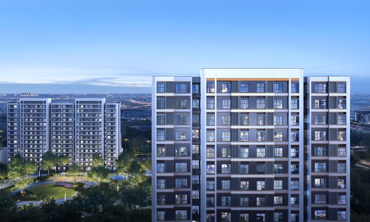 大兴发展·亦生共悦效果图