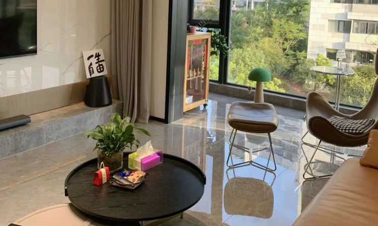 万科城改朗拾森屿样板间