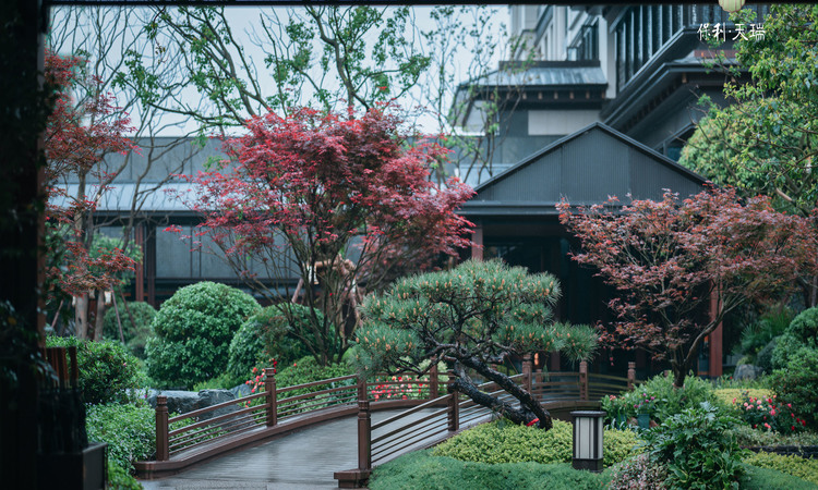 保利天瑞实景图