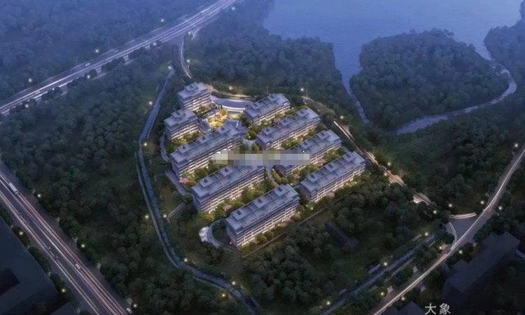 合肥绿城咏溪雲庐楼层平面图