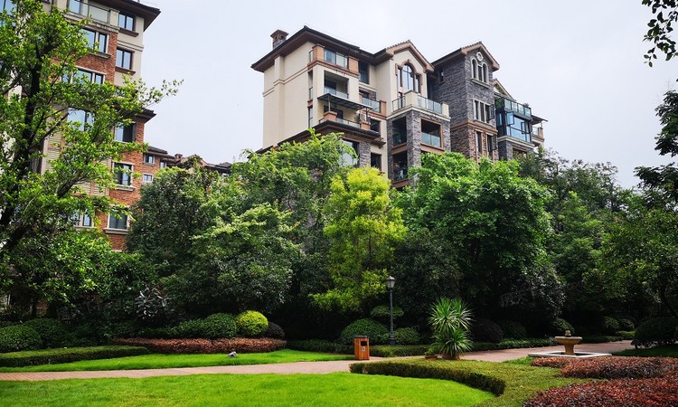 康田栖棠观樾实景图