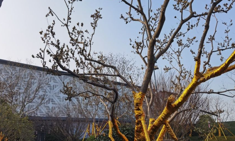 城发恒伟·会展壹中心周边配套图