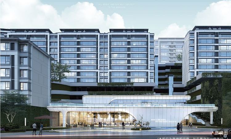 新天泽·江上雲境实景图