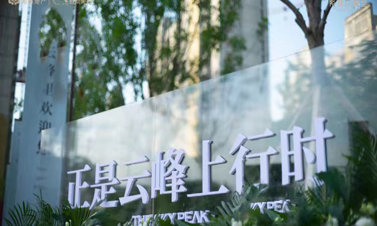 紫薇华发云峰里实景图