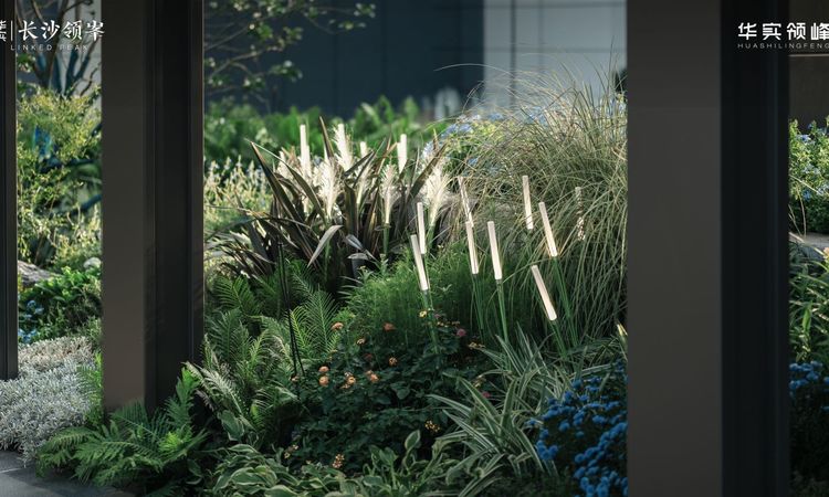 华实长沙领峯实景图