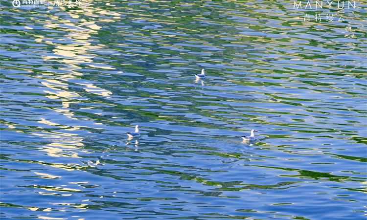 青特缦云实景图