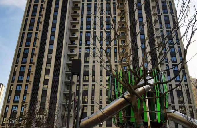 中南·林樾施工进度图