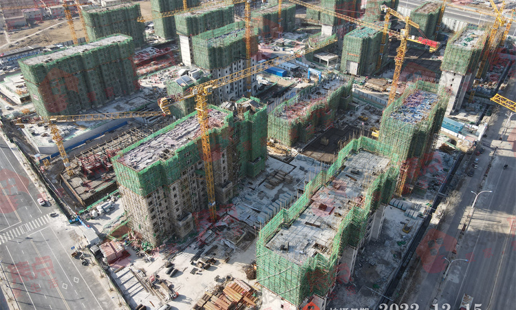 天成诚园施工进度图