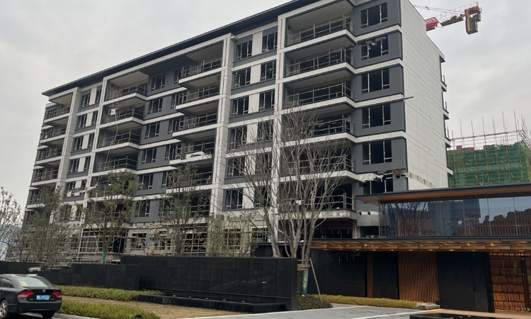 万科森林公园施工进度图