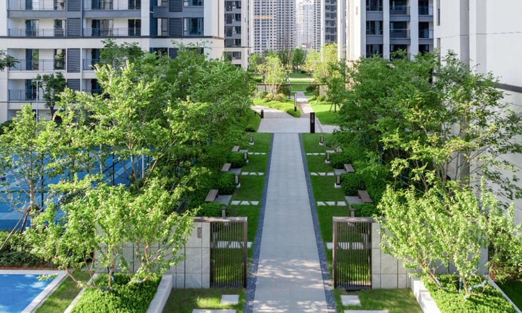 葛宁悦东方实景图