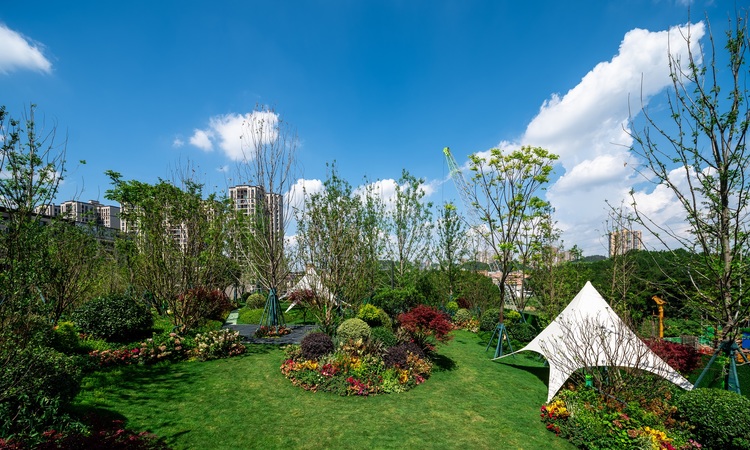 观山湖·金茂观棠实景图