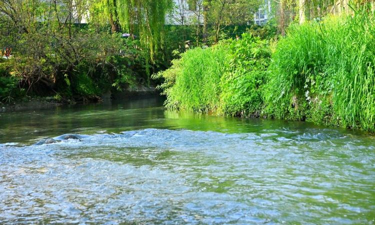 梓潼宫TOD·汀蘭周边配套图