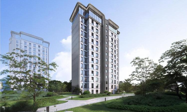 金泰·唐樾效果图