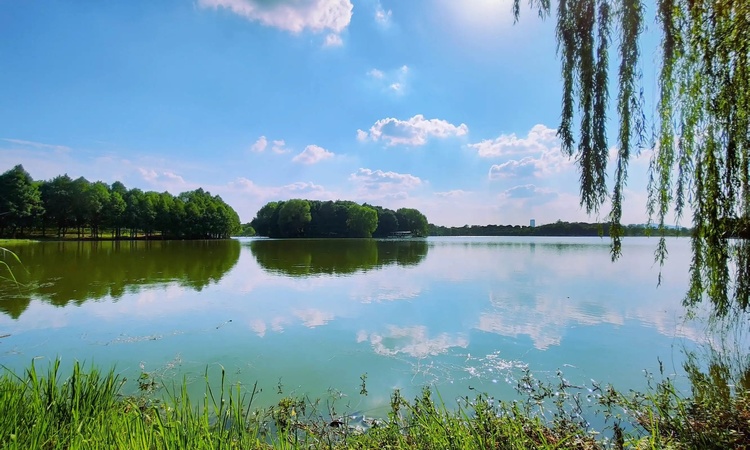 浅隐林泉周边配套图