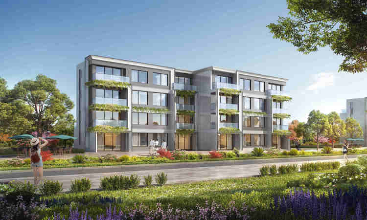 白鹿春晓效果图