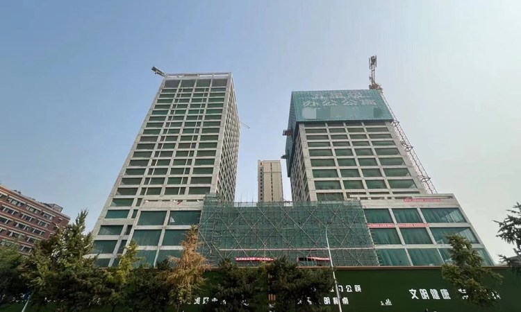 帝王国际施工进度图