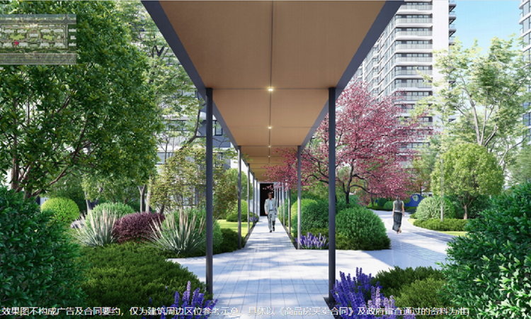 金茂上海之窗实景图