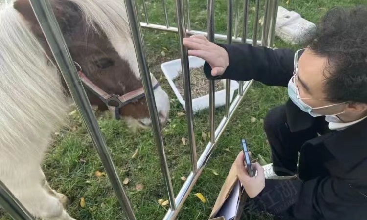 南海·高芯悦澜实景图