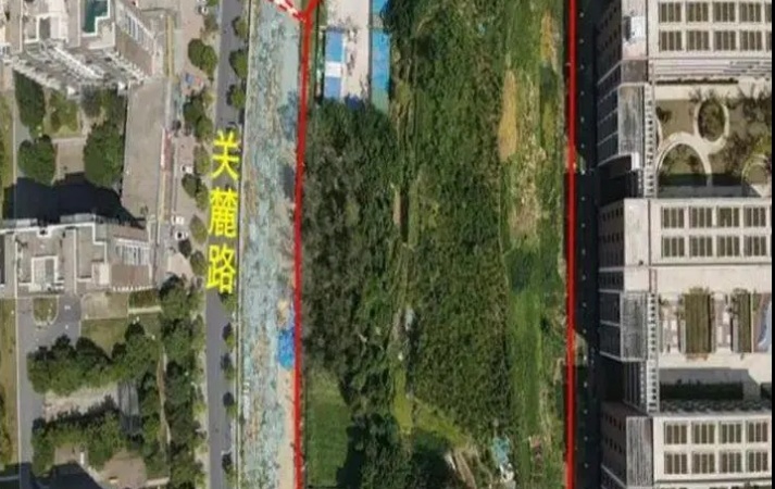 伟星天元交通图