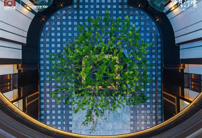 城轨庐月汀雲效果图